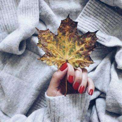 球王会体育app下载