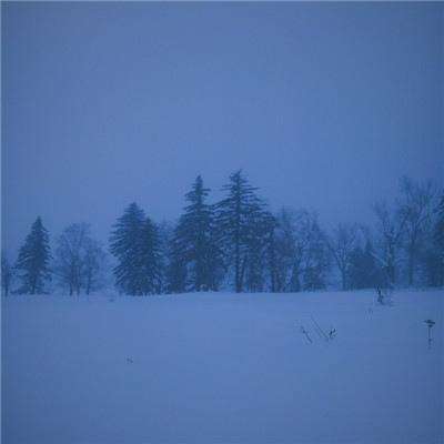 b体育官方app下载手机app下载