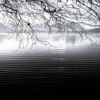 乐鱼app下载手机版