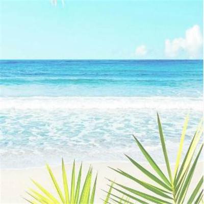 KOKapp下载手机版