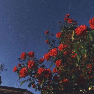 pg麻将胡了下载app下载