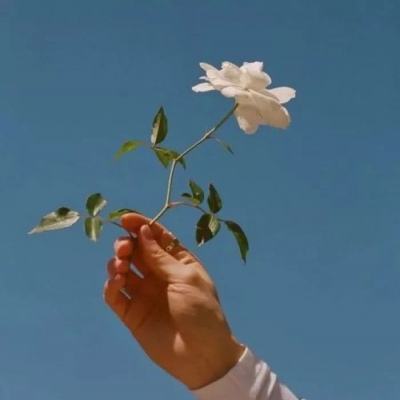 49图库资料免费大全资料澳门app下载