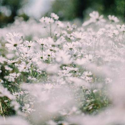 博冠体育App下载