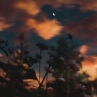 lm体育官网下载