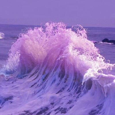 博鱼APP综合体育