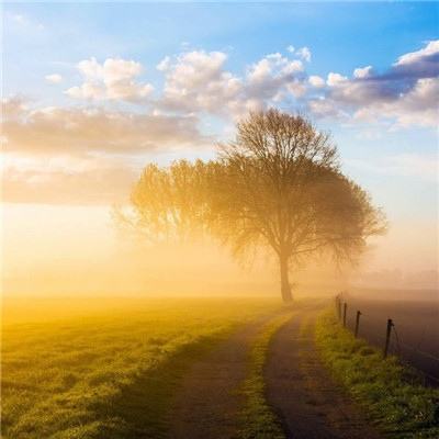 爱游戏ayx手机版登录入口